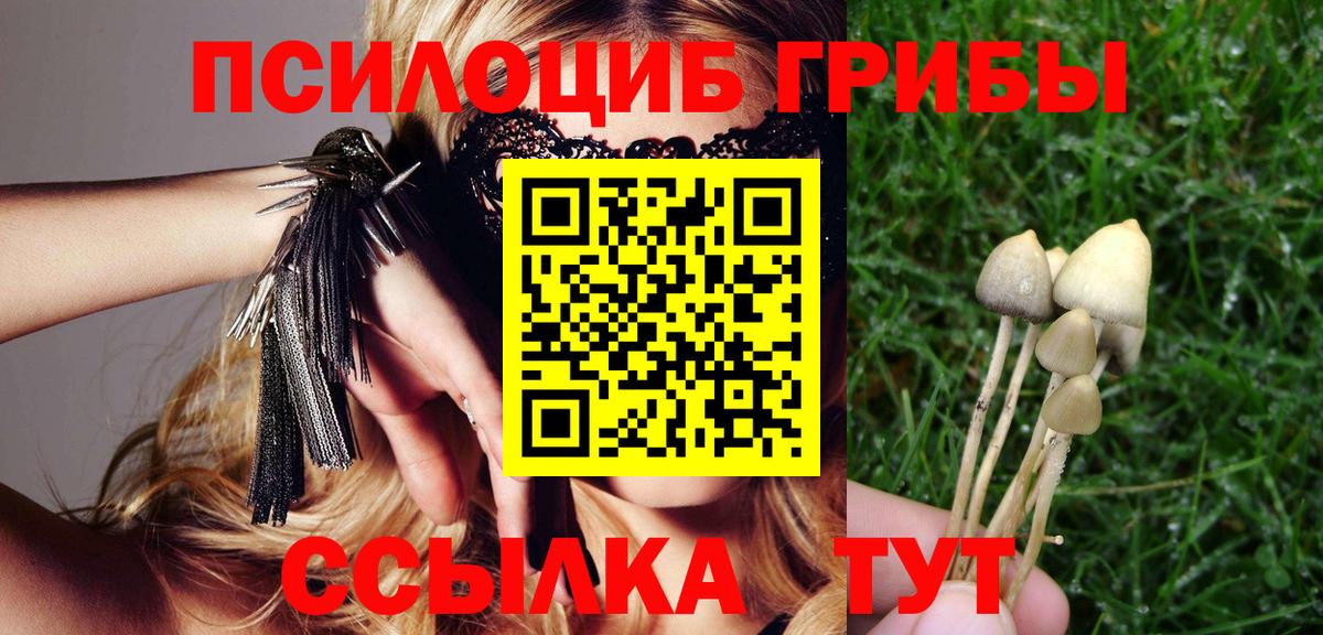 Галлюциногенные грибы Cubensis Березники