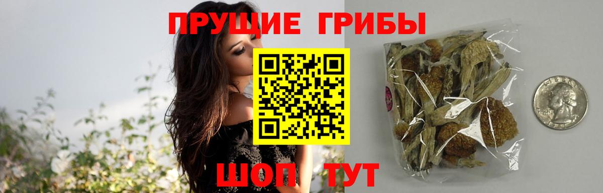Псилоцибиновые грибы Cubensis  Вход с VPN  Березники 